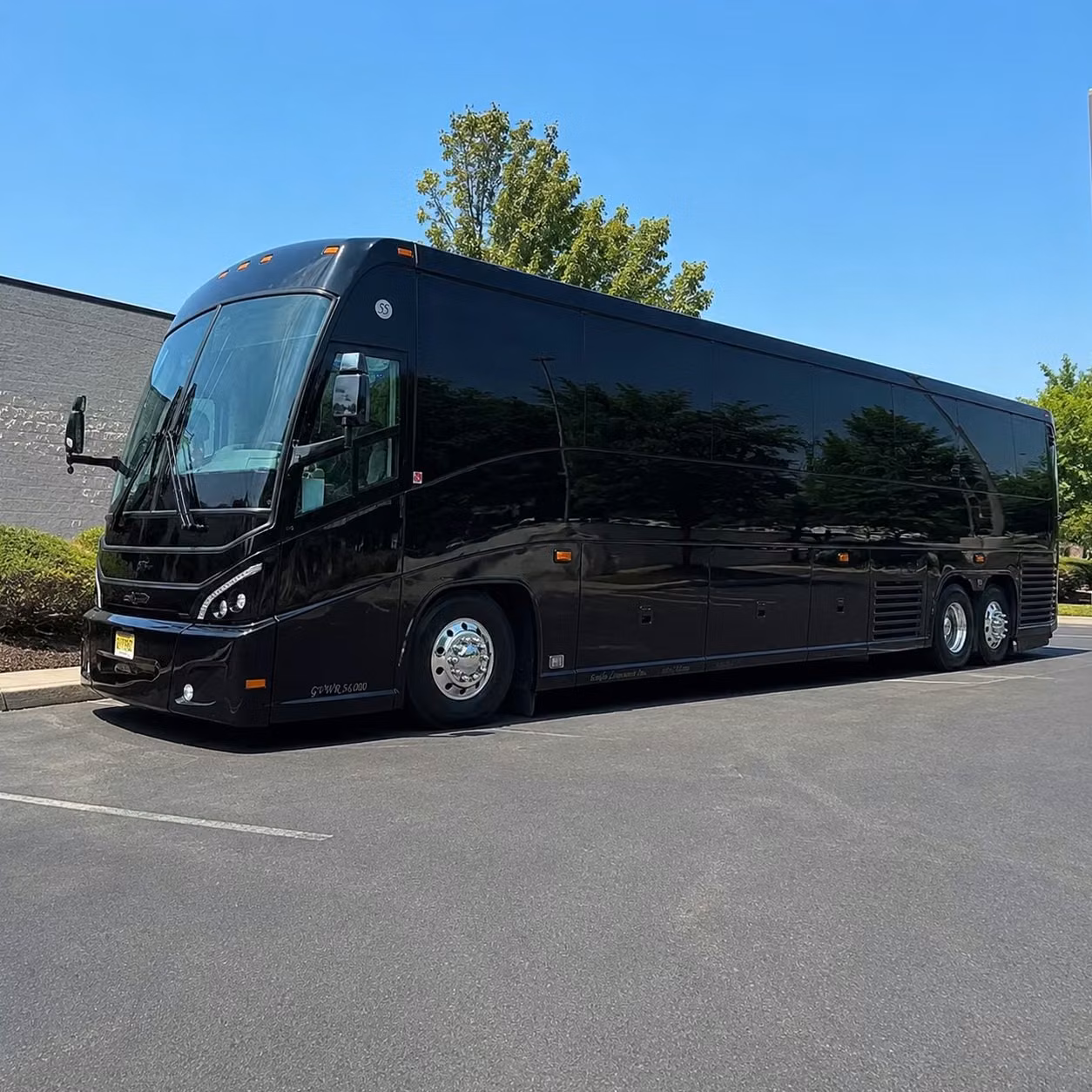 compare long distance transportation options in new brunswick and beyond